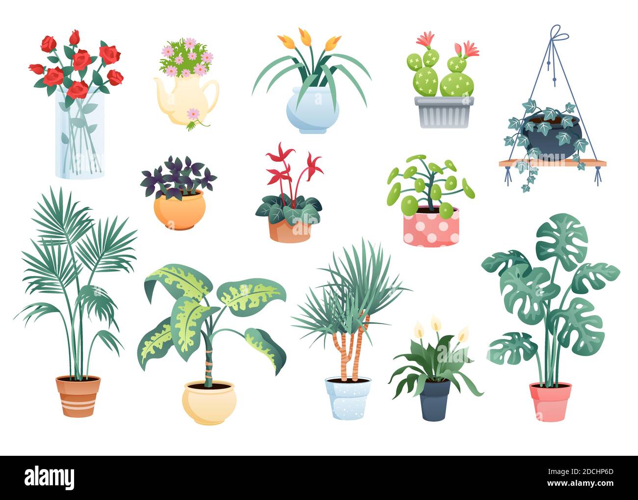 Casa piante decorazione casa vettoriale illustrazione set, cartoon piatto vasi piante e fiori raccolta di piante casalinghe isolato su bianco Illustrazione Vettoriale