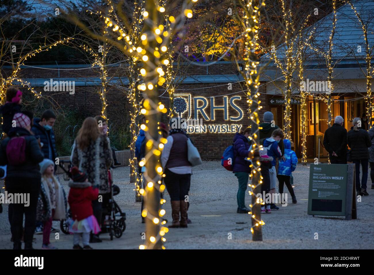 Code la prima notte del RHS Garden Wisley's Glow Illuminations show, Surrey, Inghilterra, Regno Unito. 21 Nov 2020. L'immagine mostra le famiglie che si accingono ad entrare a Glow al Giardino RHS Wisley che ancora Passi pure questo Natale nonostante il coronavirus. I diversi giardini di RHS Wisley includono il Giardino della roccia, il Pinetum e la passeggiata della Wisteria, tutti illuminati da scintillanti luci di Natale da ammirare. Credit: Jeff Gilbert/Alamy Live News Foto Stock