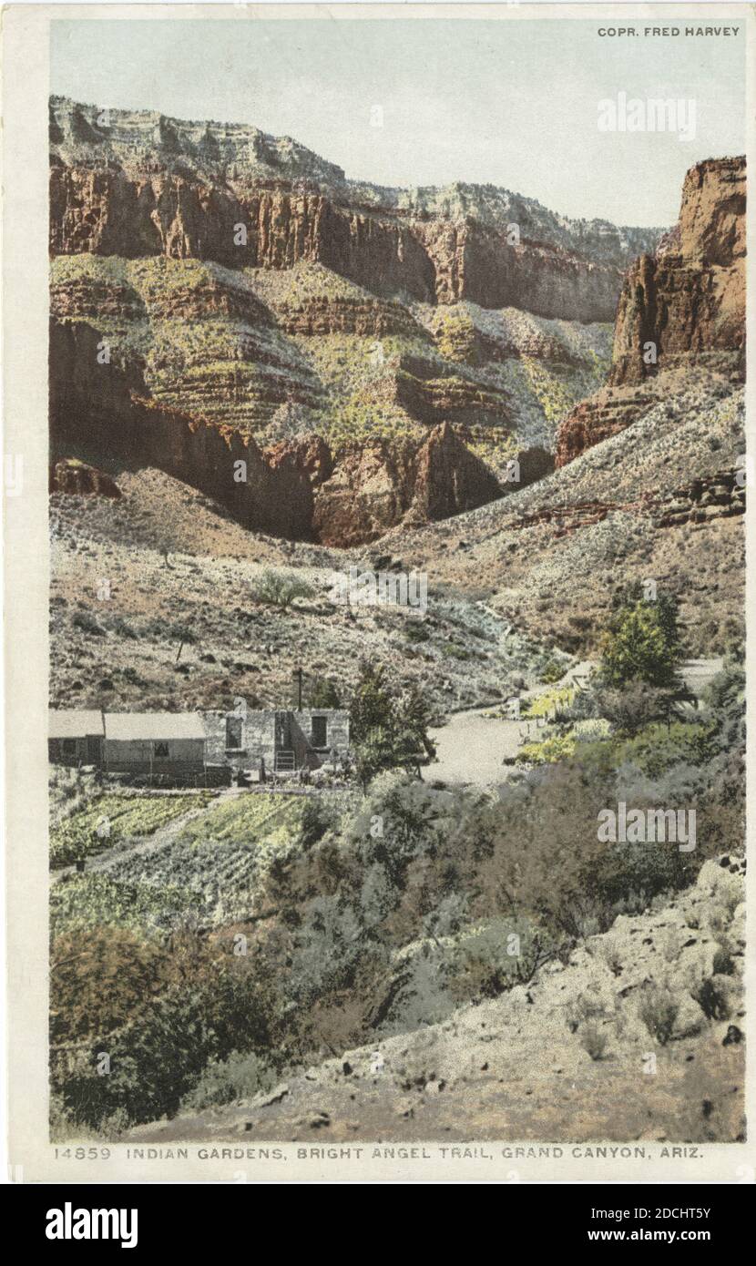 Indian Gardens, Bright Angel Trail, Grand Canyon, Ariz., immagine fissa, Cartoline, 1898 - 1931 Foto Stock