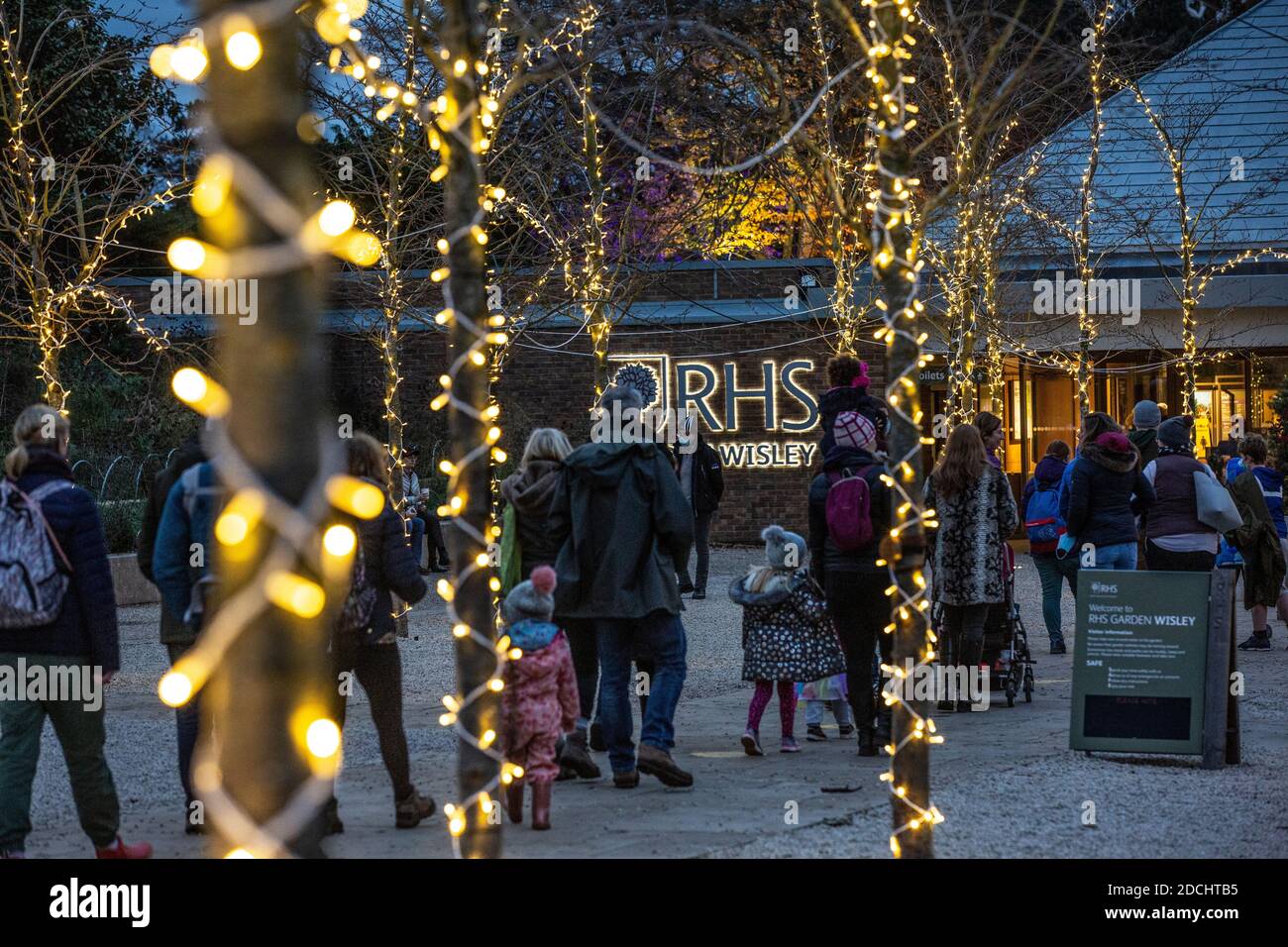 Code la prima notte del RHS Garden Wisley's Glow Illuminations show, Surrey, Inghilterra, Regno Unito. 21 Nov 2020. L'immagine mostra le famiglie che si accingono ad entrare a Glow al Giardino RHS Wisley che ancora Passi pure questo Natale nonostante il coronavirus. I diversi giardini di RHS Wisley includono il Giardino della roccia, il Pinetum e la passeggiata della Wisteria, tutti illuminati da scintillanti luci di Natale da ammirare. Credit: Jeff Gilbert/Alamy Live News Foto Stock
