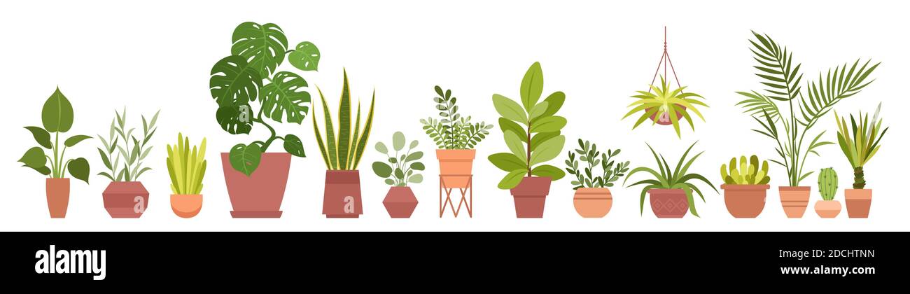 Casa piante decorazione casa vettore illustrazione set. Cartoon vaso piante verdi fiori raccolta, piante casalinghe in vaso di argilla, appendere decorativo Illustrazione Vettoriale