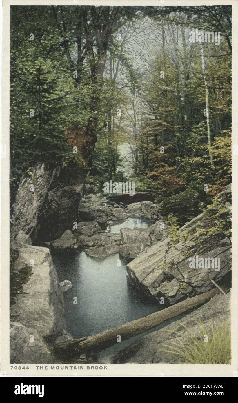 The Mountain Brook, New Hampshire, immagine fissa, Cartoline, 1898 - 1931 Foto Stock