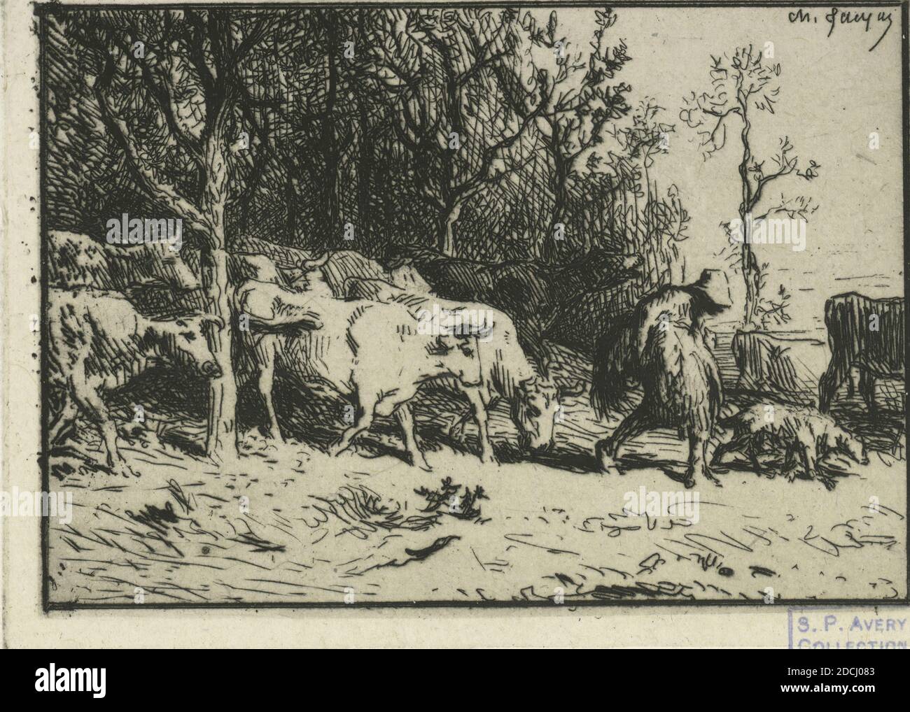 Paysage : troupeau de vaches., immagine, stampe, 1849 Foto Stock