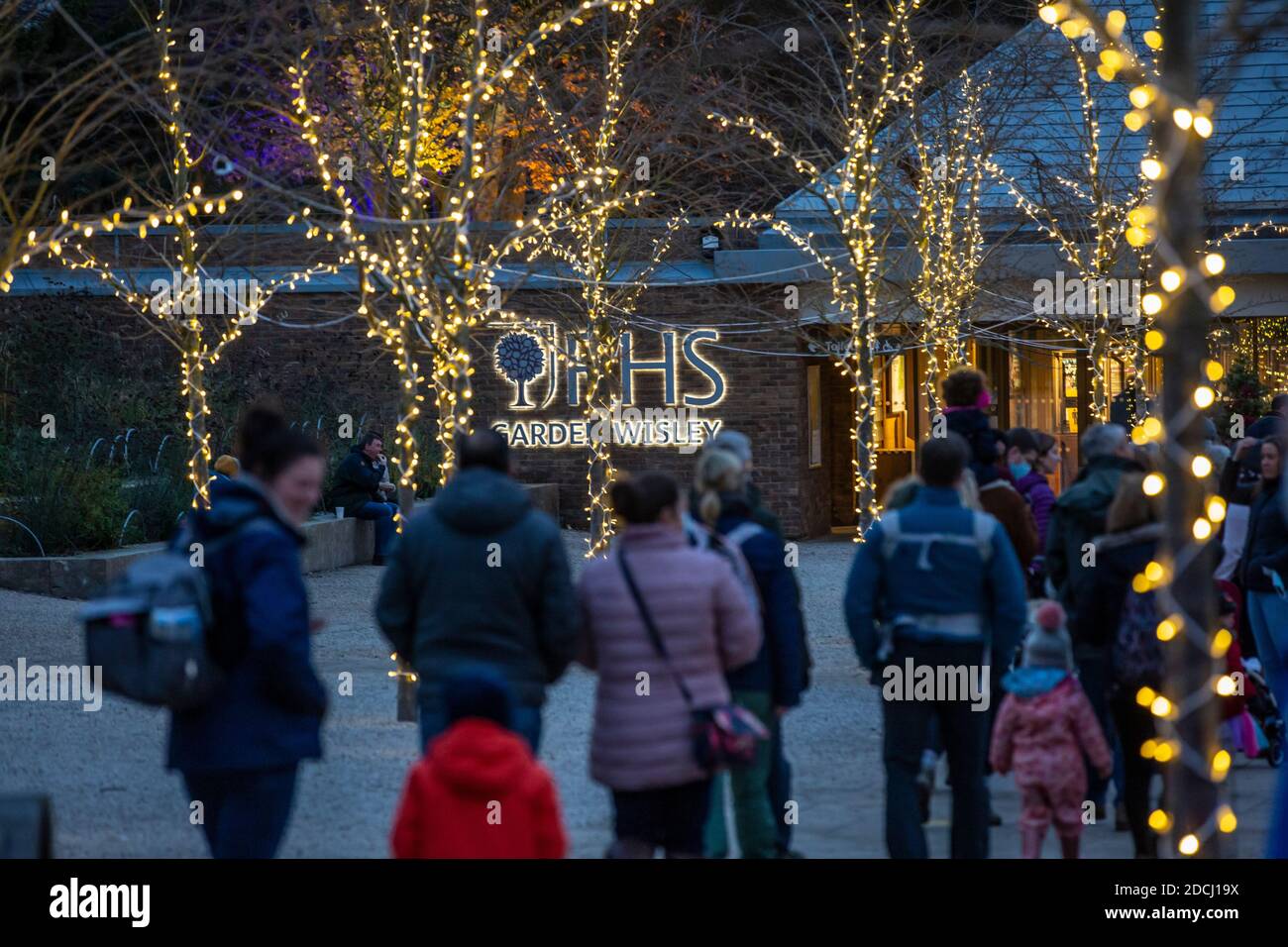 Code la prima notte del RHS Garden Wisley's Glow Illuminations show, Surrey, Inghilterra, Regno Unito. 21 Nov 2020. L'immagine mostra le famiglie che si accingono ad entrare a Glow al Giardino RHS Wisley che ancora Passi pure questo Natale nonostante il coronavirus. I diversi giardini di RHS Wisley includono il Giardino della roccia, il Pinetum e la passeggiata della Wisteria, tutti illuminati da scintillanti luci di Natale da ammirare. Credit: Jeff Gilbert/Alamy Live News Foto Stock