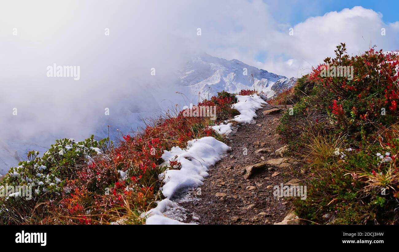 Bellissimo sentiero escursionistico che conduce su un crinale nelle montagne alpine di Montafon, Austria circondato da cespugli rossi scoloriti nella stagione autunnale. Foto Stock