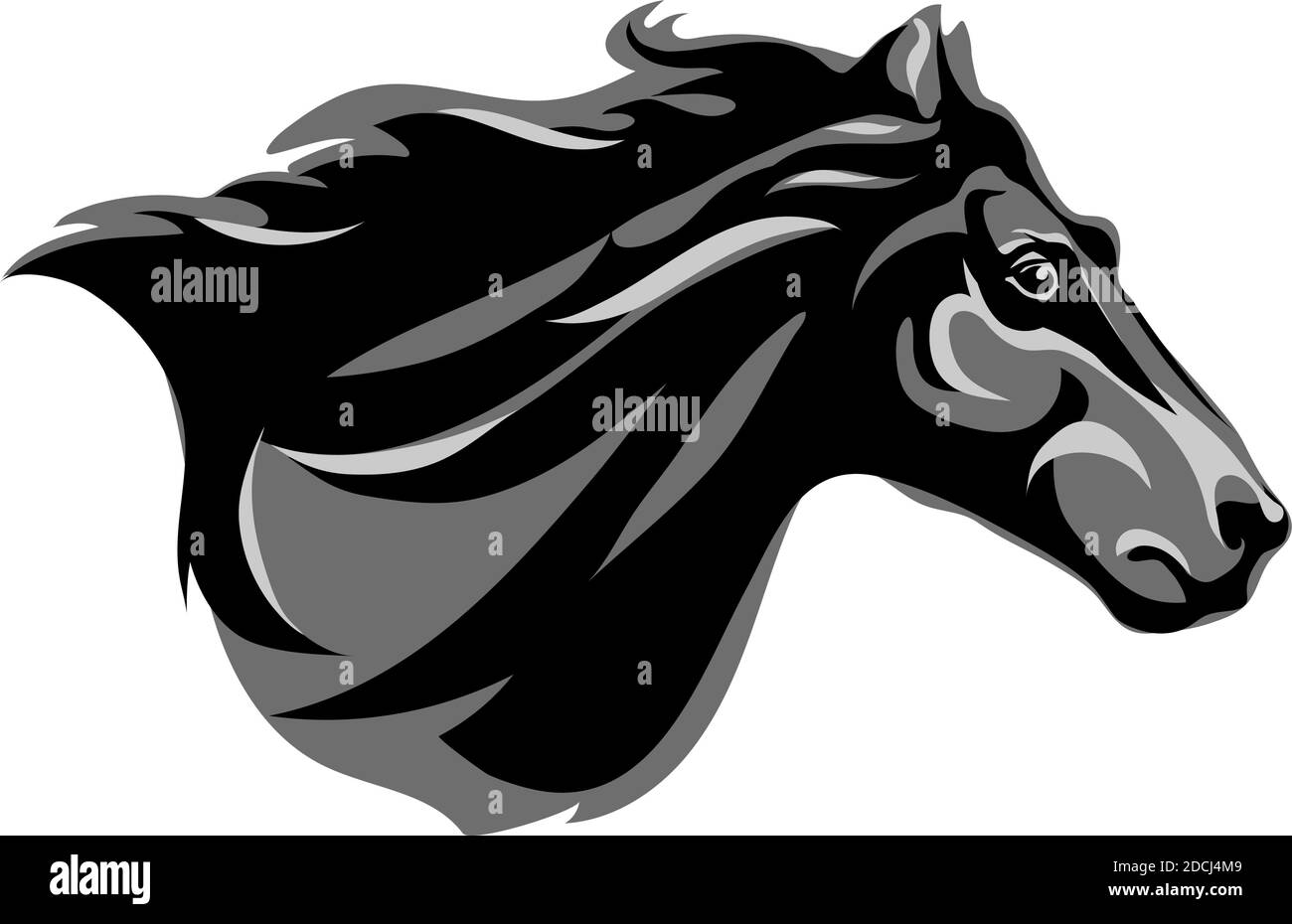Cavallo, ritratto, bianco, nero, grigio, sfumature Illustrazione Vettoriale