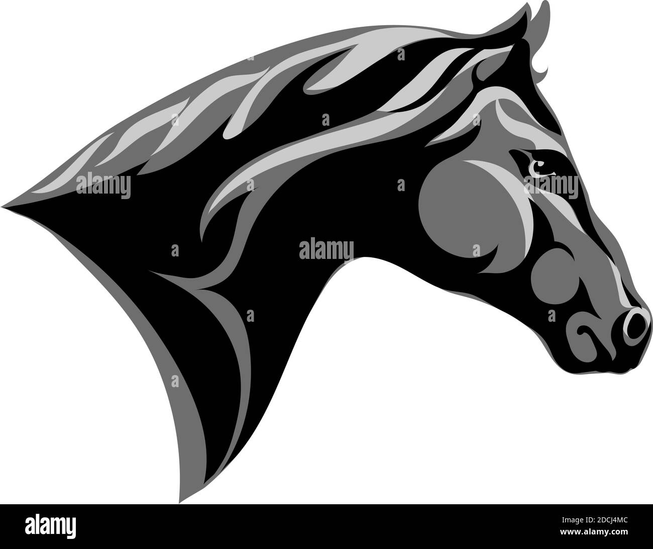 Cavallo, ritratto, bianco, nero, grigio, sfumature Illustrazione Vettoriale