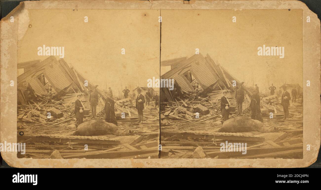 Cavallo nel mezzo di rovine., immagine fissa, Stereographs, 1882, Everett, James (James E.) (b. 1834 Foto Stock