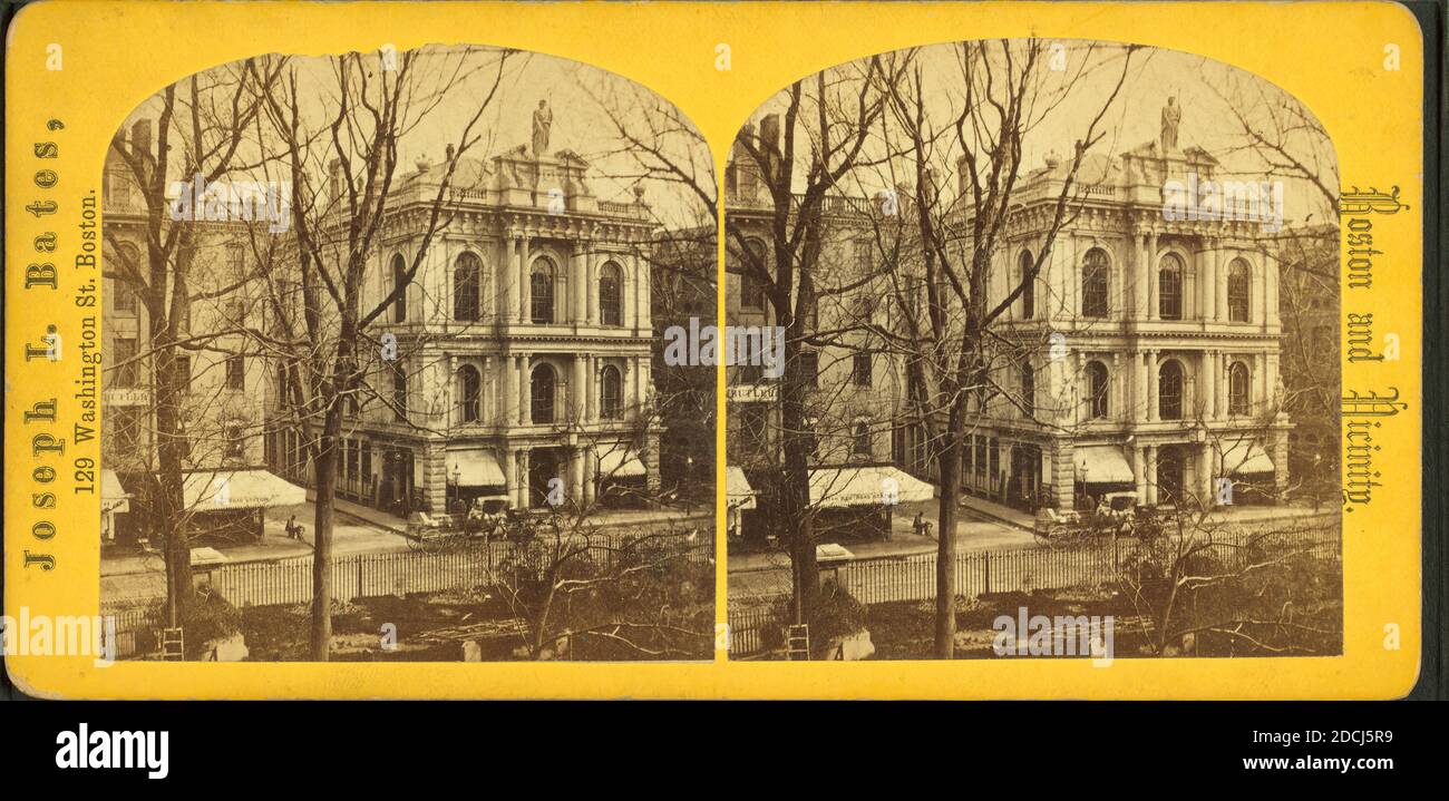 Sala orticola, immagine, Stereografi, 1850 - 1930, Bates, Joseph L. (1806 o 7-1886 Foto Stock