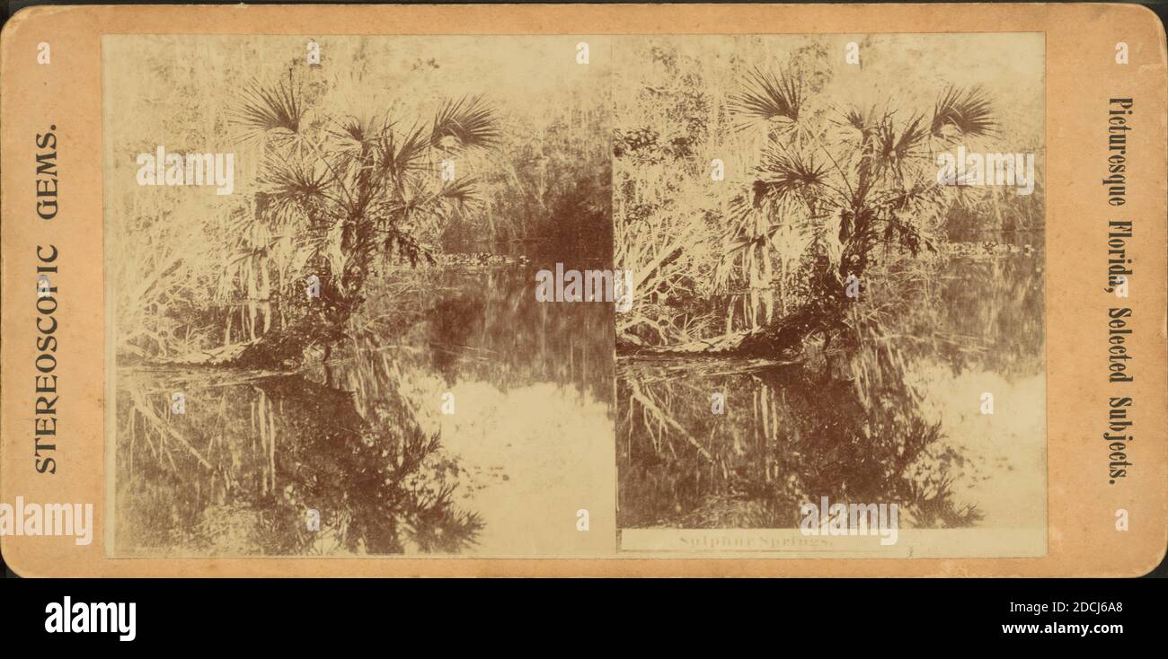 Sulphur Springs., immagine statica, Stereographs, 1850 - 1930 Foto Stock