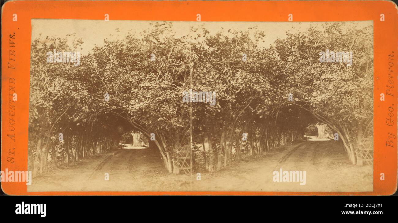 Arco arancione, immagine statica, Stereografi, 1850 - 1930 Foto Stock
