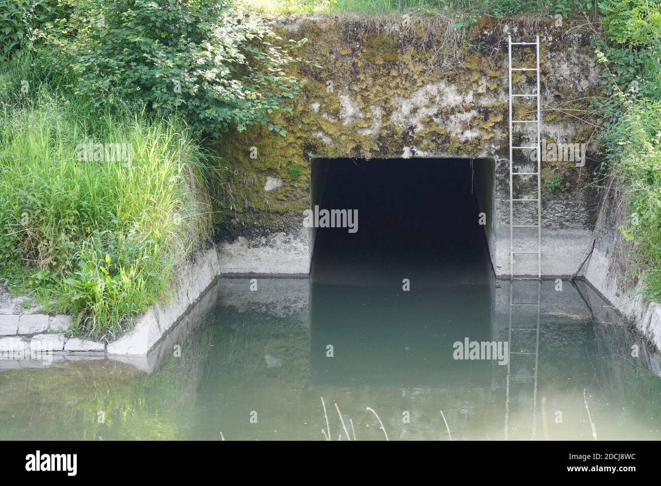 Un canale d'acqua con acqua a flusso lento e un tunnel. C'è una scala  metallica fissata ad una parete di cemento coperta di muschio. In consente  la manutenzione Foto stock - Alamy