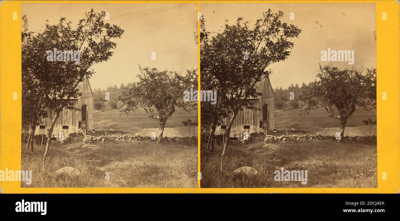 Fienile, immagine statica, Stereografi, 1850 - 1930 Foto Stock