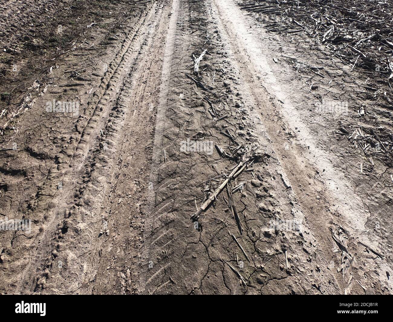 Tracce di trasporto sul terreno. Sfondo. Foto Stock