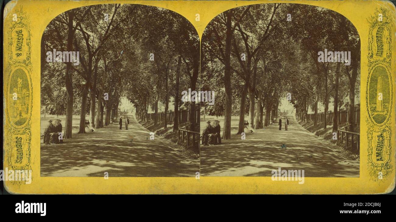 Boston Common., fermo immagine, Stereographs, 1850 - 1930 Foto Stock