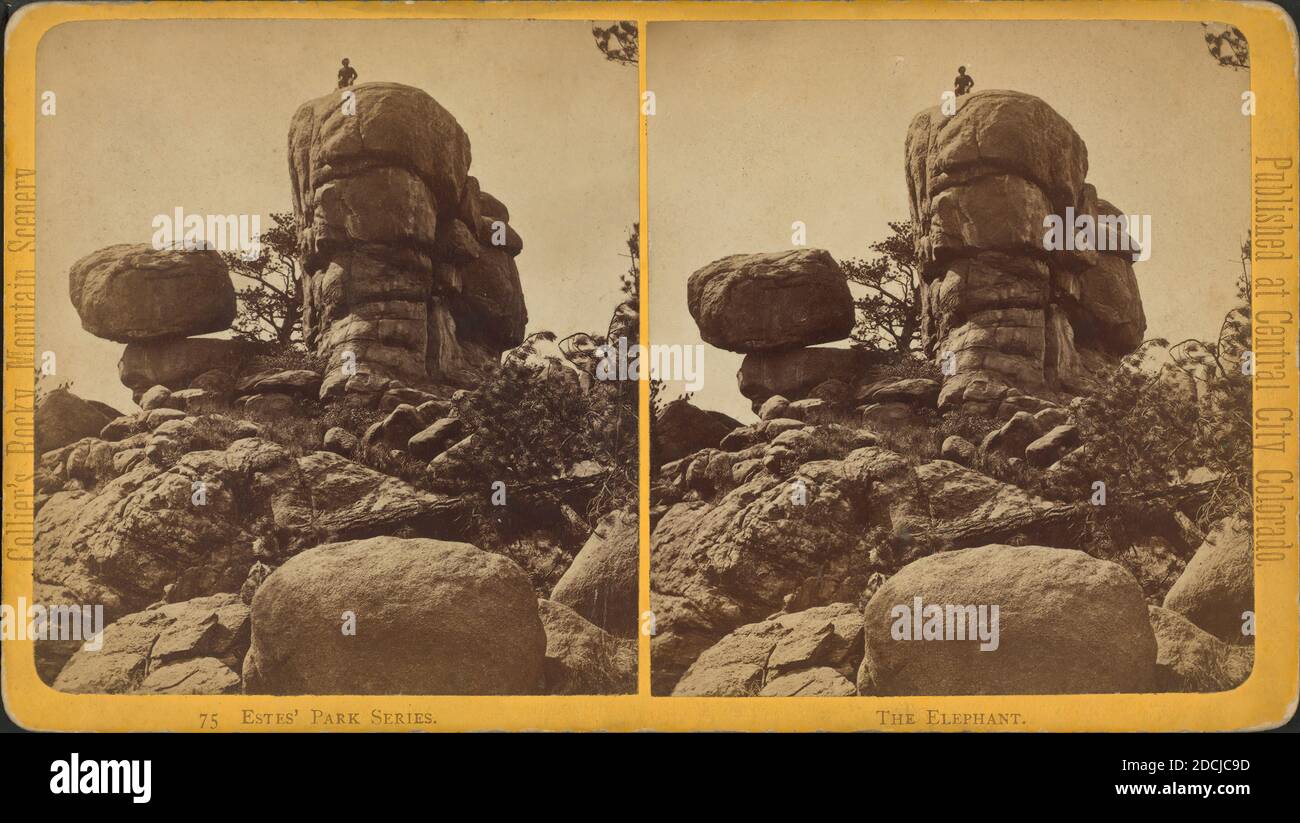 The Elephant., immagine fissa, Stereographs, 1875, Collier, James Foto Stock