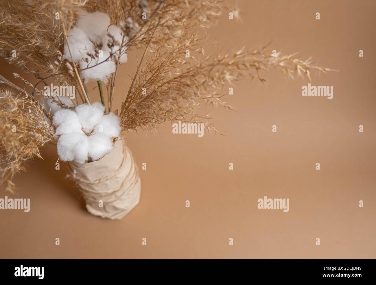 Bouquet di pampas erba e fiori di cotone su Foto Stock