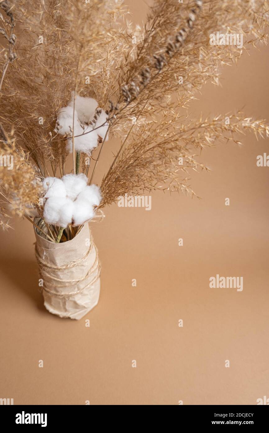 Bouquet di pampas erba e fiori di cotone su Foto Stock