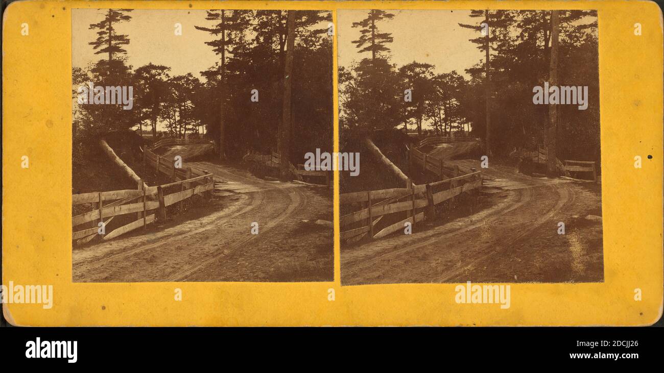 Free Bridge Road., immagine statica, Stereographs, 1850 - 1930, Barnes, G. W. (fl. 1860-1879 Foto Stock