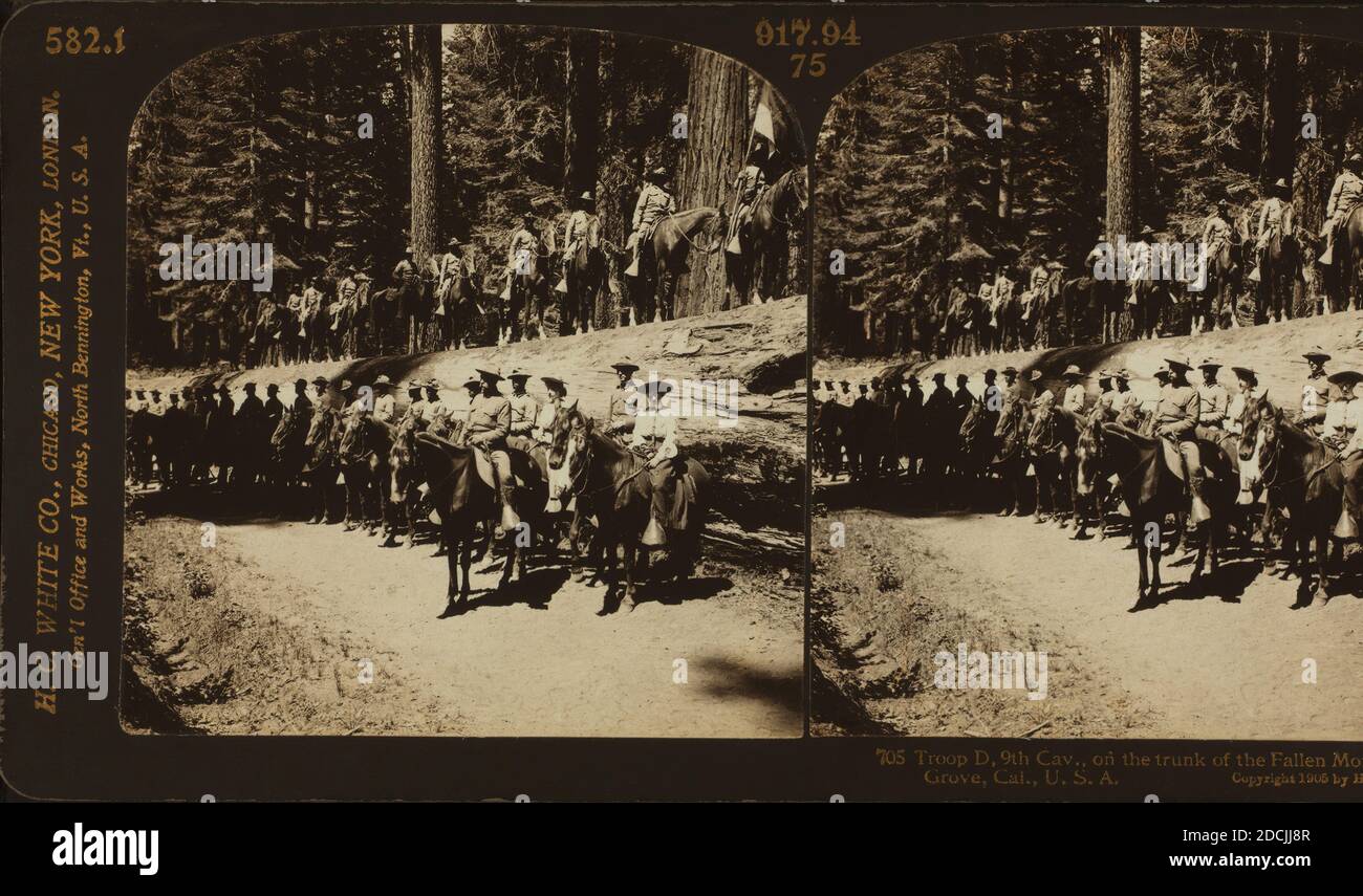 Troop D, 9th Cavallion., sul tronco del Monarca caduto, Mariposa Grove, Cal., U.S.A., fermo immagine, Stereographs, 1900 - 1905 Foto Stock