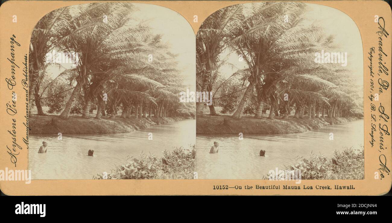 Sulla bella Mauna Loa Creek, Hawaii., immagine, Stereographs, 1850 - 1930, Singley, B. L. (Benjamin Lloyd Foto Stock