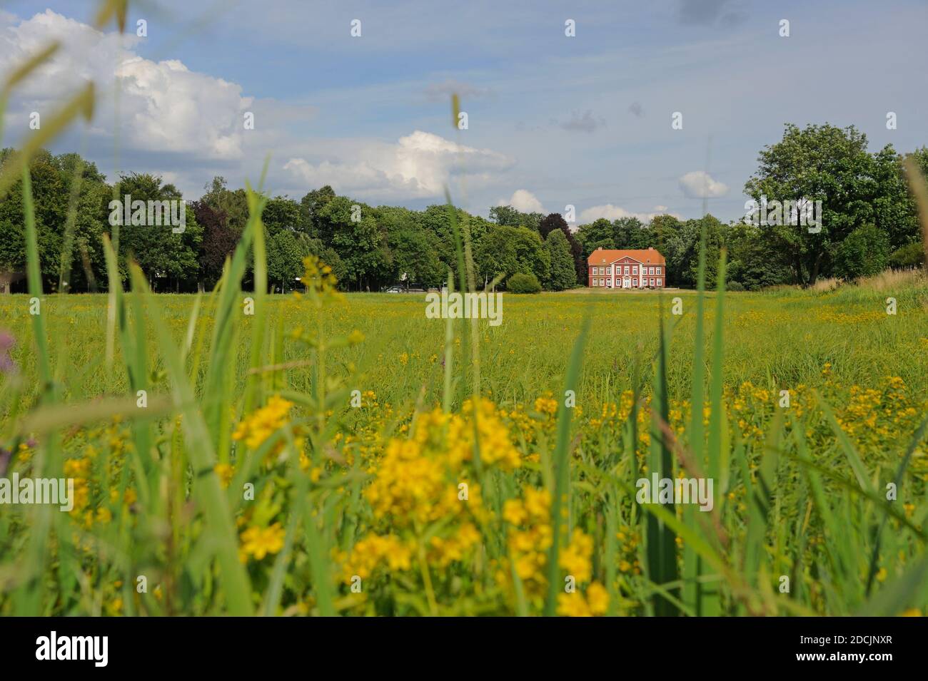 Beratung von Beratungen, Beratungen, Beratungen, Beratungen, Beratungen, Beratungen, Beratungen Foto Stock