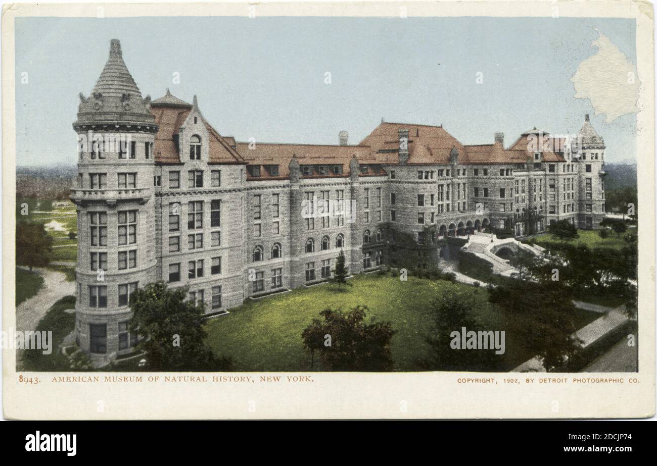 American Museum of Natural History, New York, N. Y., Still Image, Postcards, 1898 - 1931 Foto Stock