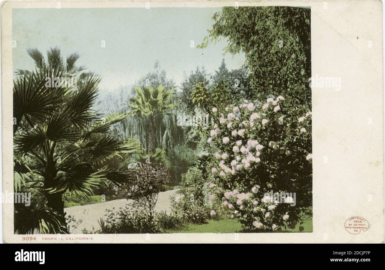 Tropical California, California, immagini fisse, Cartoline, 1898 - 1931 Foto Stock