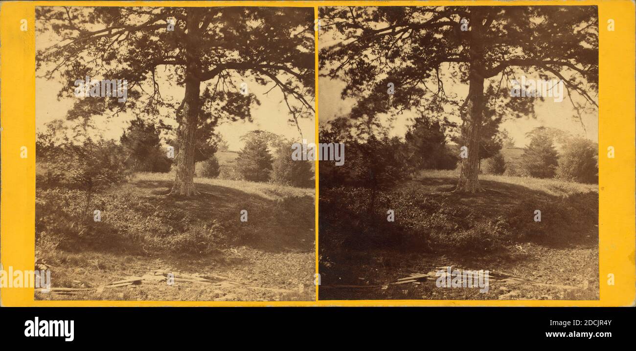 Vicino alla primavera., fermo immagine, Stereografi, 1850 - 1930 Foto Stock