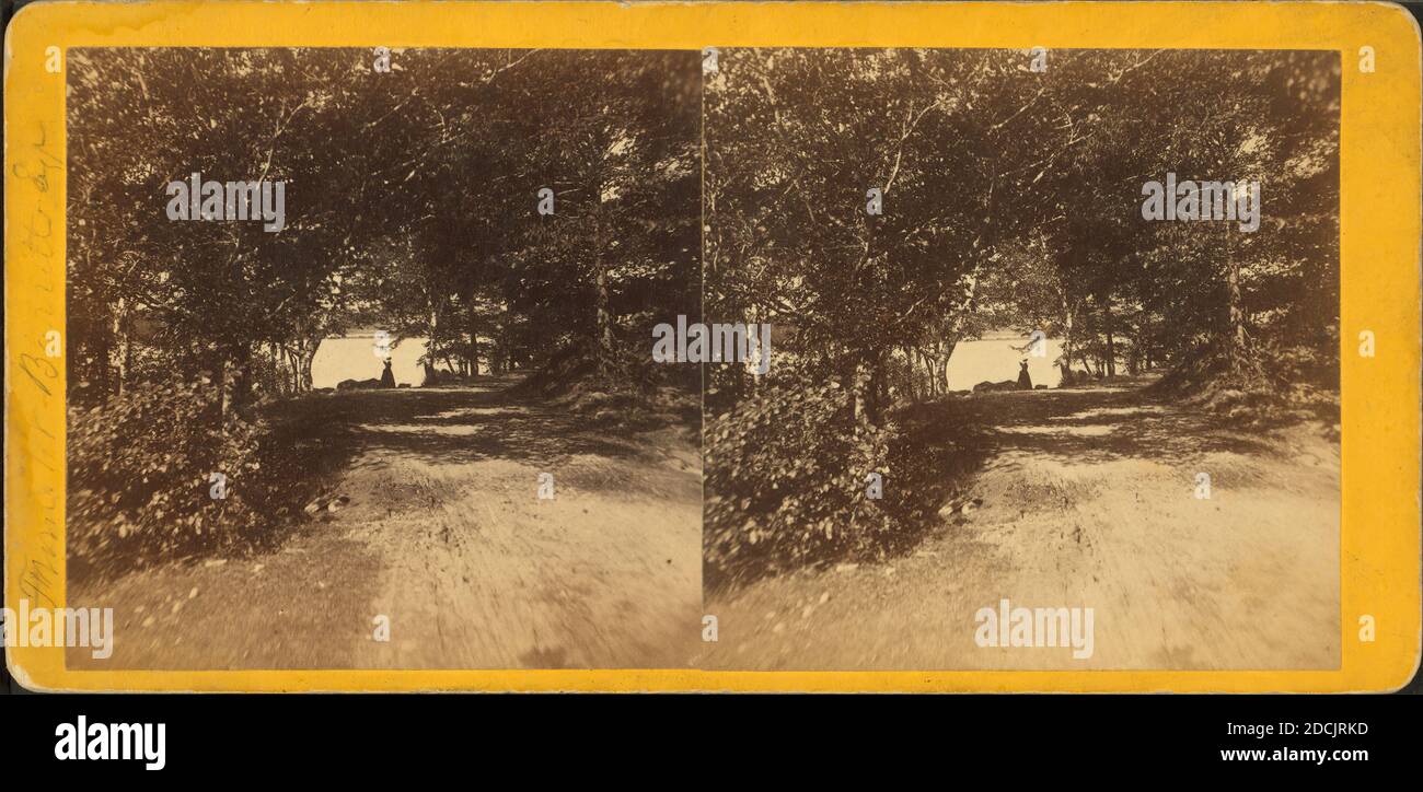 Guida intorno alla base del Monte Megunticook. Il lago Megunticook è visto attraverso gli alberi. Camden, Maine., fermo immagine, Stereographs, 1850 - 1930 Foto Stock