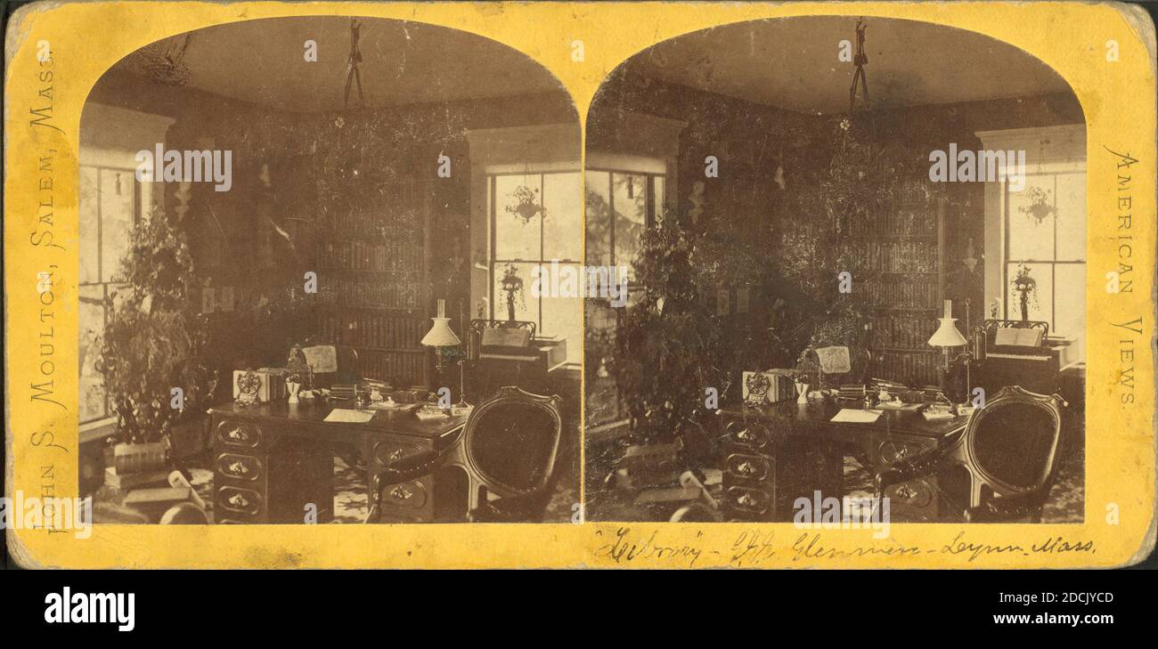 Vista interna di una biblioteca in una residenza privata, immagine, Stereographs, 1850 - 1930, Molton, John S. (b. ca. 1820 Foto Stock