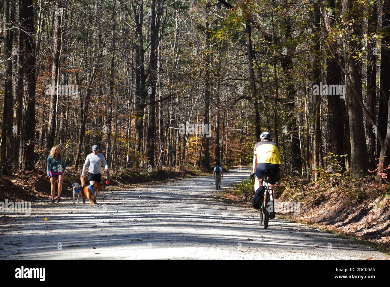 Gli escursionisti e i ciclisti condividono i percorsi multiuso del William Umstead state Park di Raleigh, North Carolina. Foto Stock