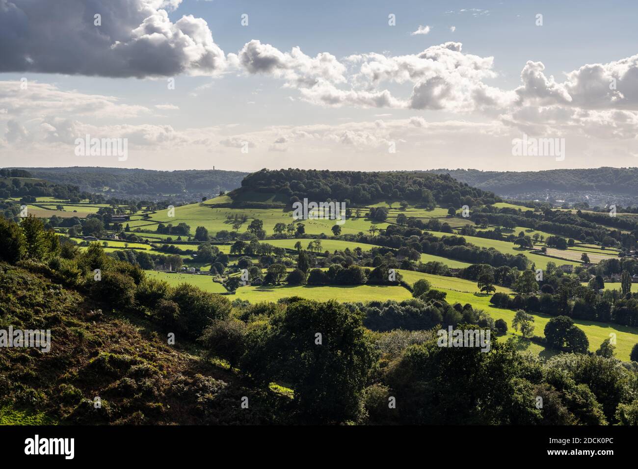 Il sole splende sulla caratteristica collina boscosa di Cam Long Down in Gloucestershire's Cotswold Hills, con il monumento Tyndale alle spalle. Foto Stock
