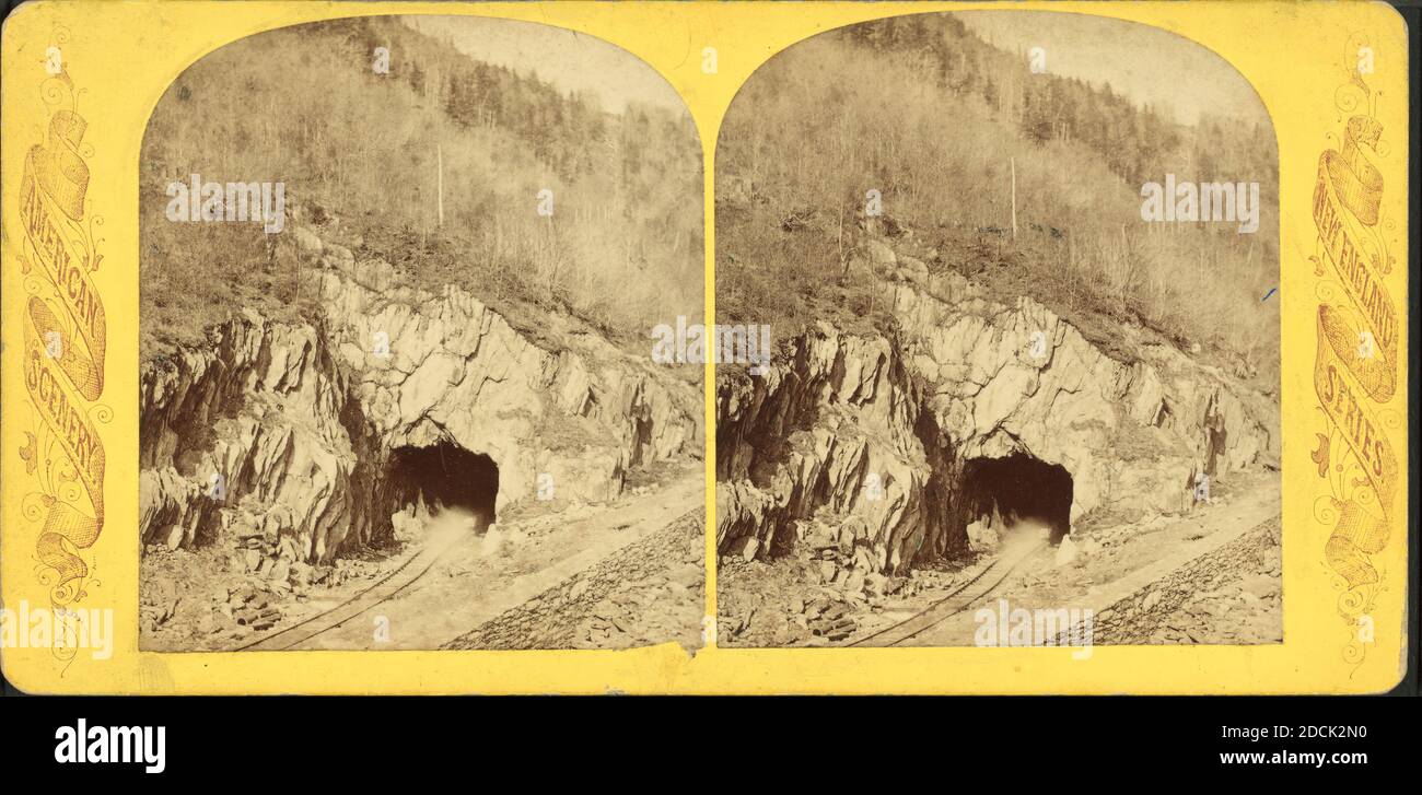 Portale, immagine statica, Stereografi, 1850 - 1930 Foto Stock
