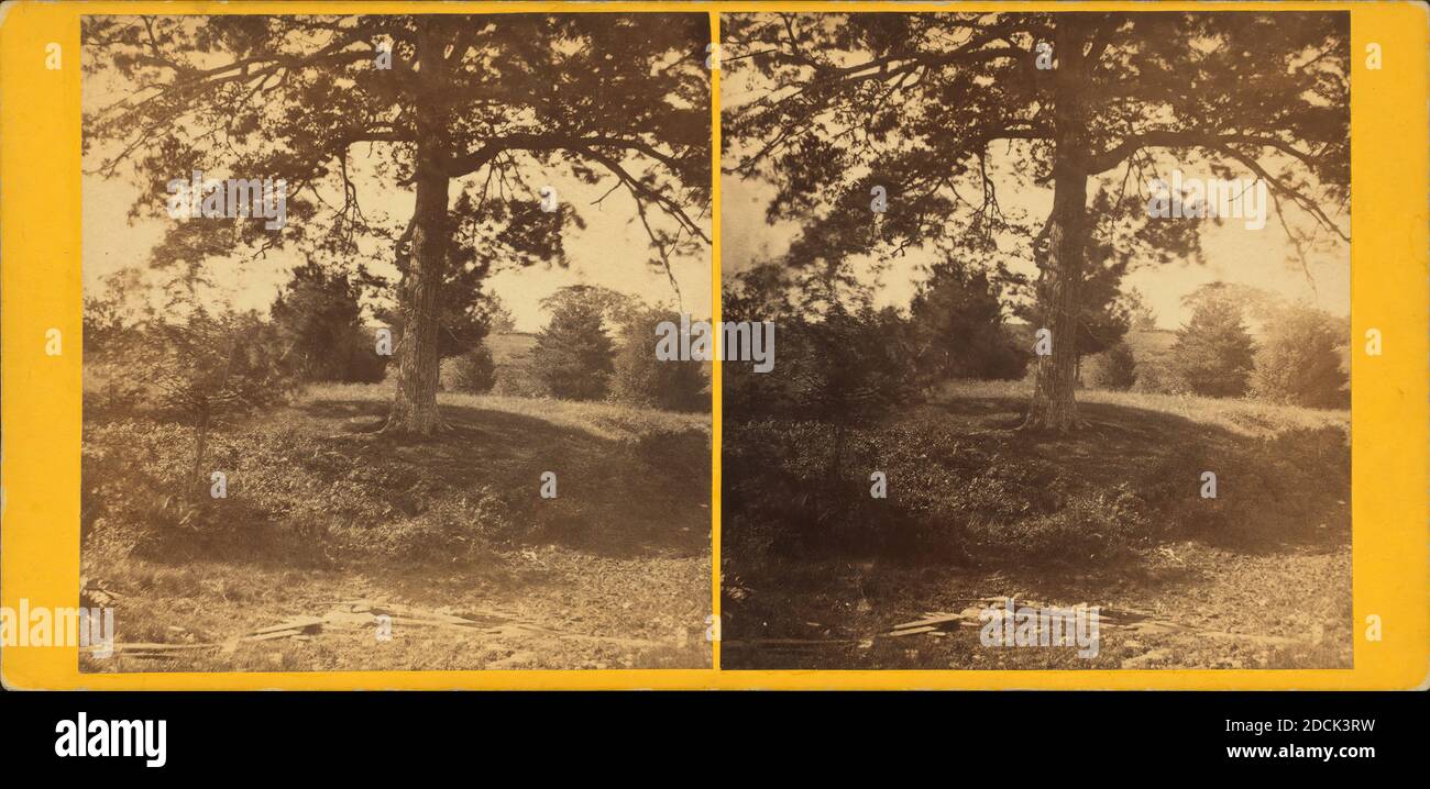 Vicino alla primavera., fermo immagine, Stereografi, 1850 - 1930 Foto Stock