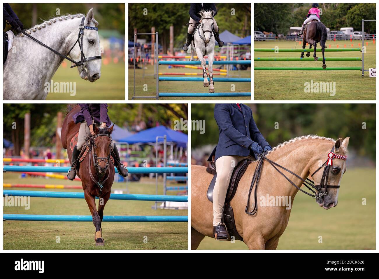 Collage di immagini di show jumping in un paese australiano mostra Foto Stock