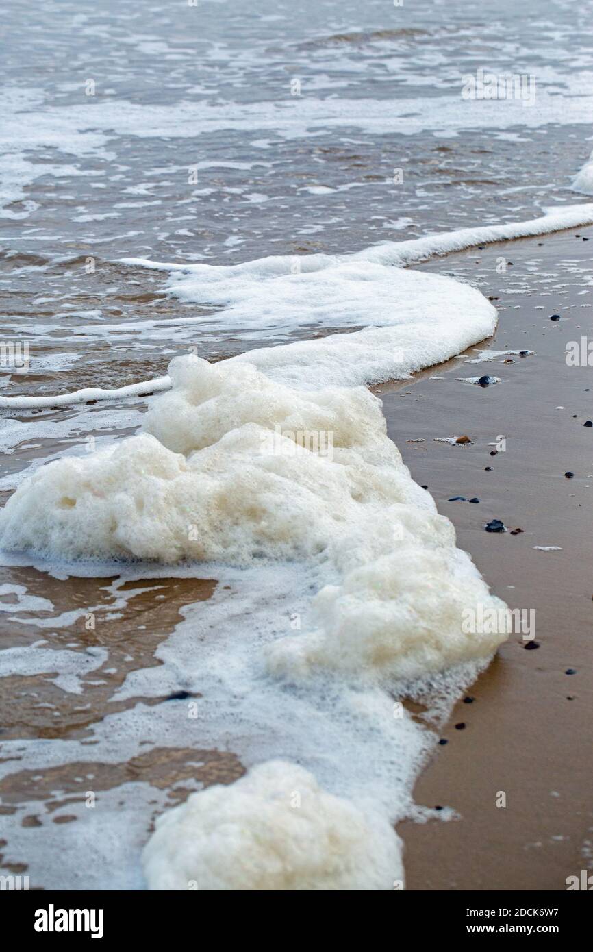 La schiuma, il mare, inzidita dal surf sul litorale. Marea in entrata. Happisburgh. Norfolk settentrionale. Costa. Forma di schiuma da alghe decadenti disciolte, o Foto Stock