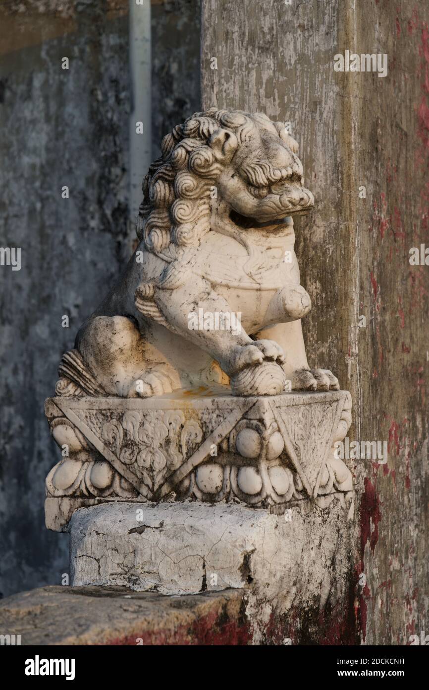 Custode cinese statua di Lion Foto Stock