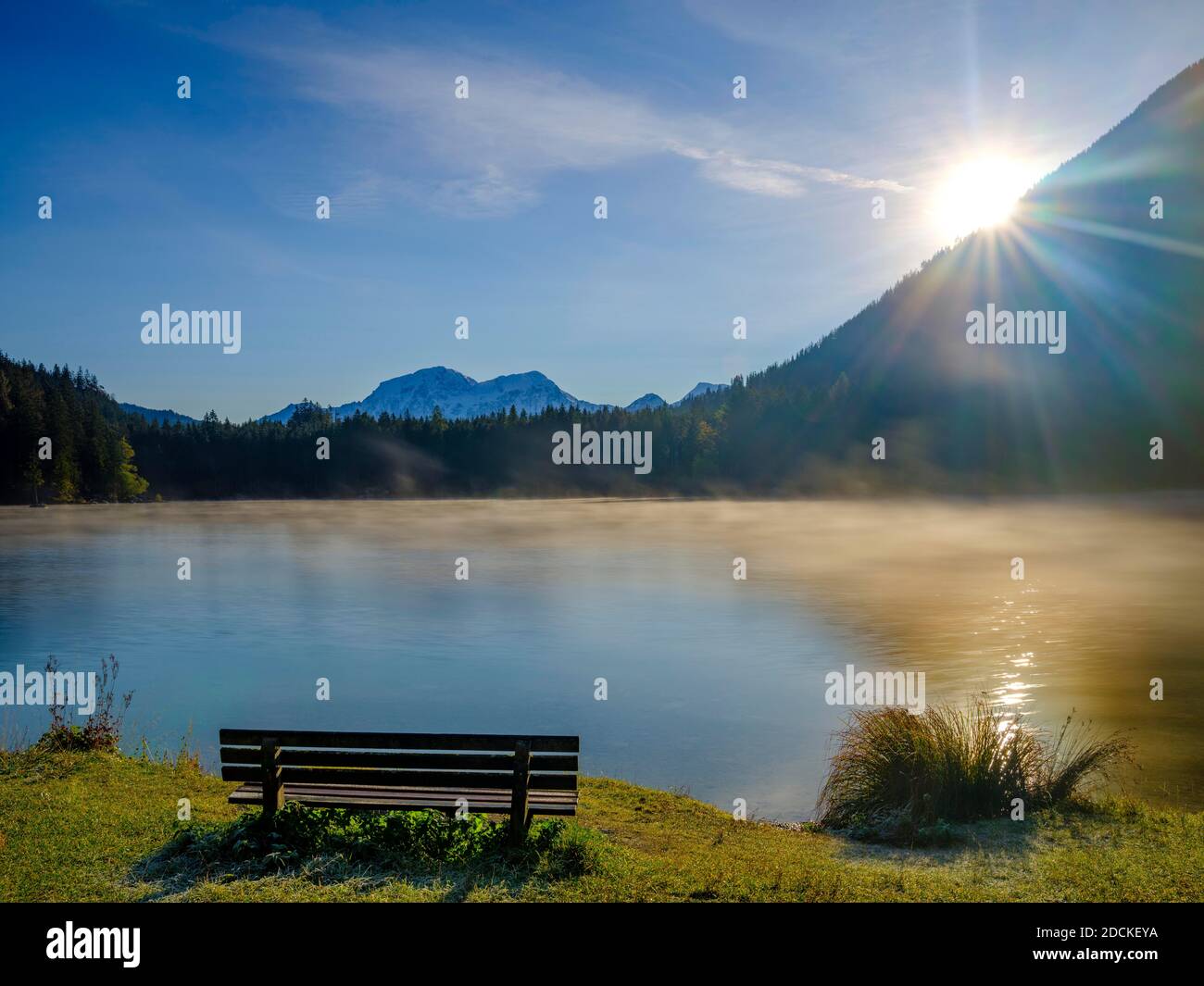 Panchina solitaria a Hintersee, nella parte posteriore Hoher Goell, Berchtesgaden National Park, Ramsau, alta Baviera, Baviera, Germania Foto Stock