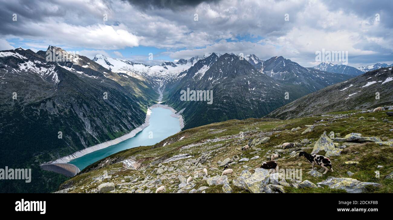 Vista dal Berliner Hoehenweg al bacino idrico di Schlegeis, al bacino idrico di Schlegeis, alle Alpi Zillertal, al ghiacciaio di Schlegeiskees, allo Zillertal, al Tirolo, all'Austria Foto Stock