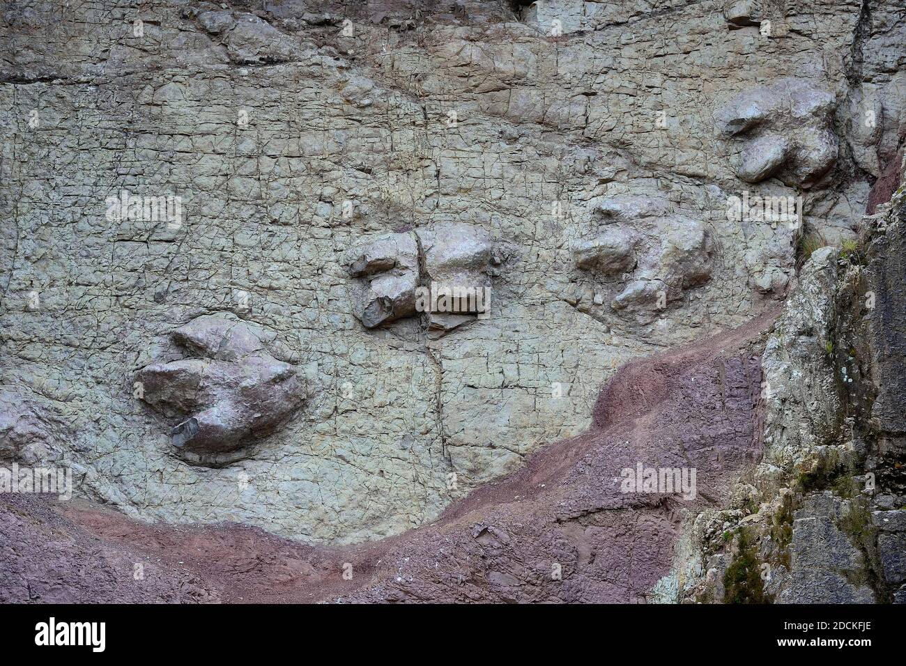 Tracce di dinosauro in una parete verticale, Ruta 111, vicino Huaraz, Regio Ancash, Perù Foto Stock