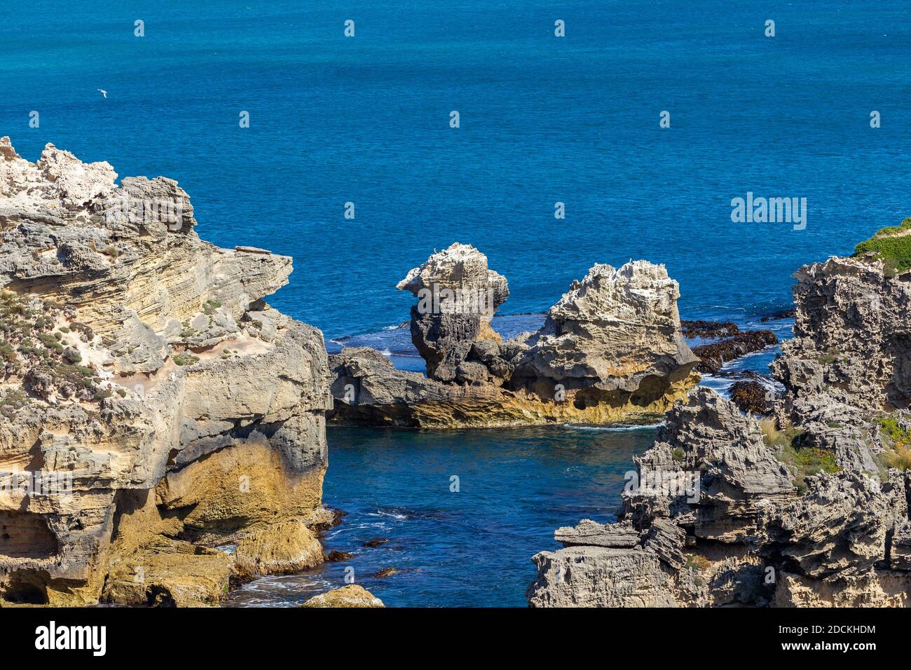 L'iconica roccia di cammello a Cape Northumberland a Port MacDonnell Australia Meridionale il 10 novembre 2020 Foto Stock