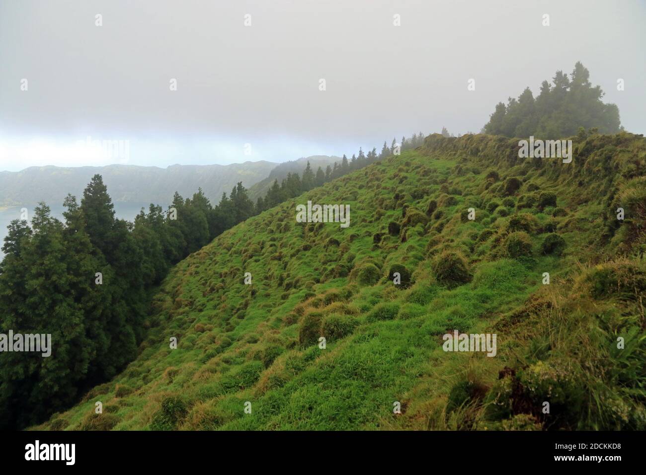 Massiccio di Agua de Pau, Isola di Sao Miguel, Azzorre, Portogallo Foto Stock