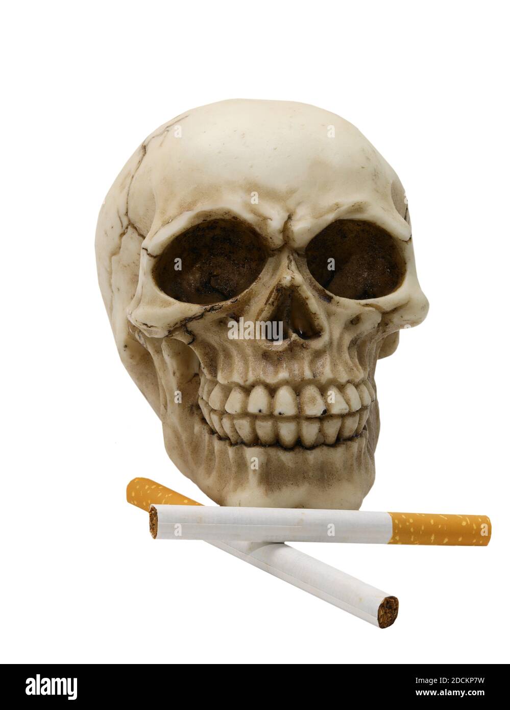 cranio umano con sigarette simbolo di morte causata dal abitudine di fumare su sfondo bianco Foto Stock