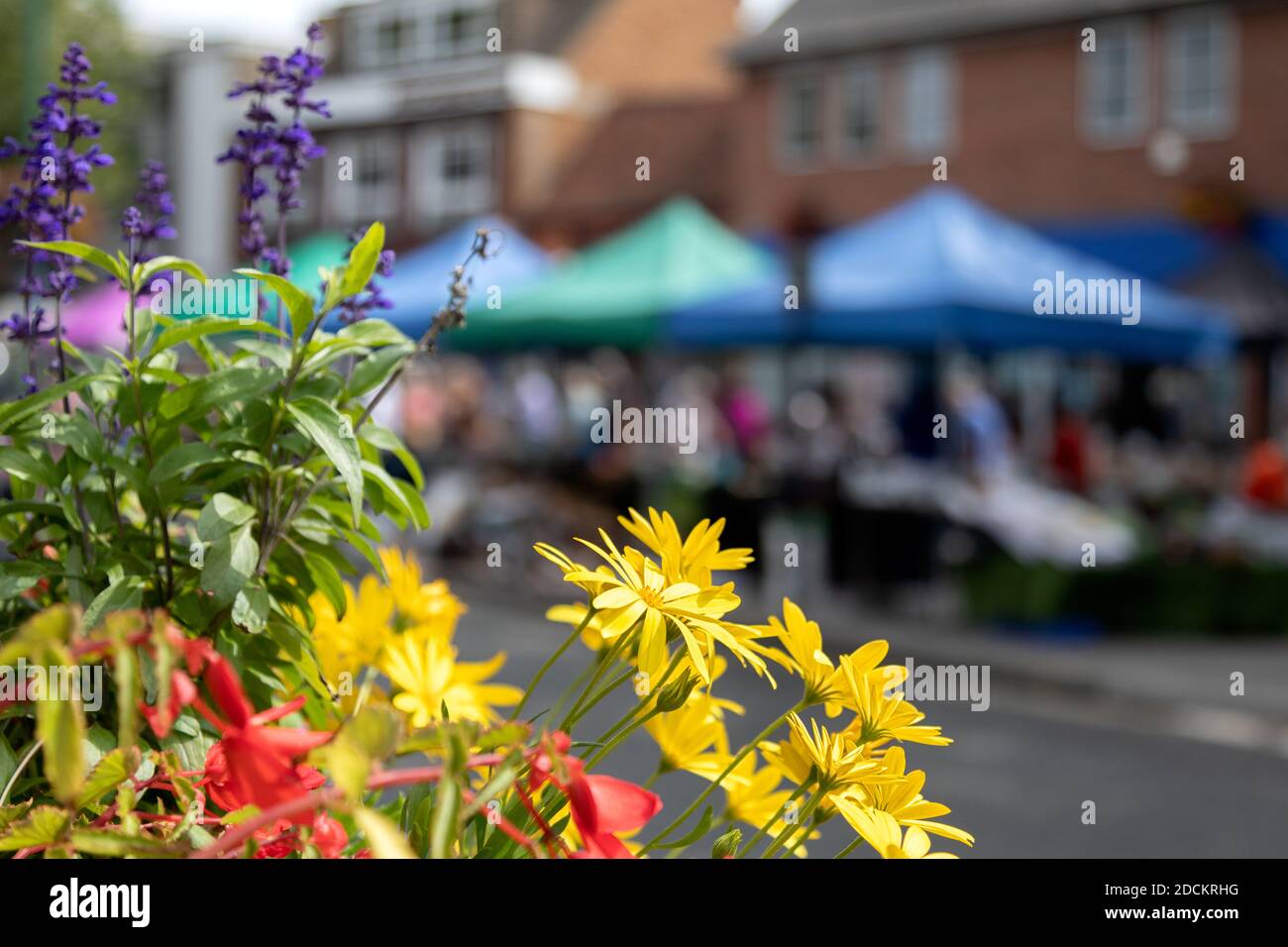 RAYLEIGH, ESSEX, UK - 21 AGOSTO 2019: Esposizione di fiori sulla strada alta con vista sfocata del mercato sullo sfondo Foto Stock