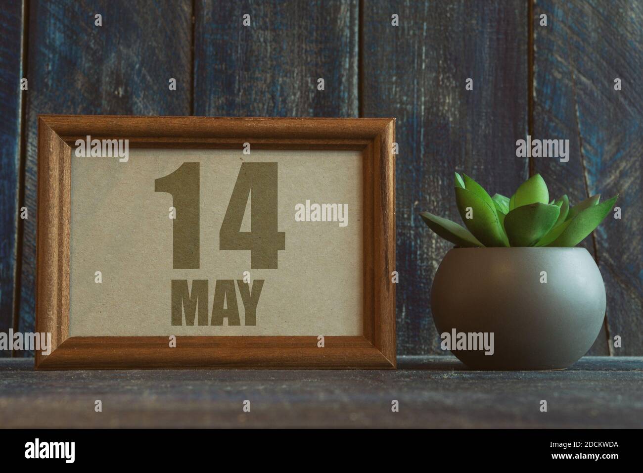 14 maggio. Giorno 14 del mese, data in cornice accanto a succulente su legno sfondo mese di primavera, giorno del concetto anno Foto Stock