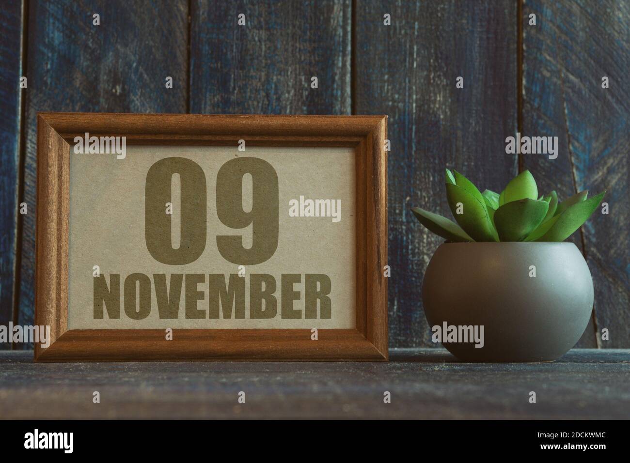9 novembre. Giorno 9 del mese, data in cornice accanto a succulente su sfondo di legno mese di autunno, giorno del concetto anno Foto Stock