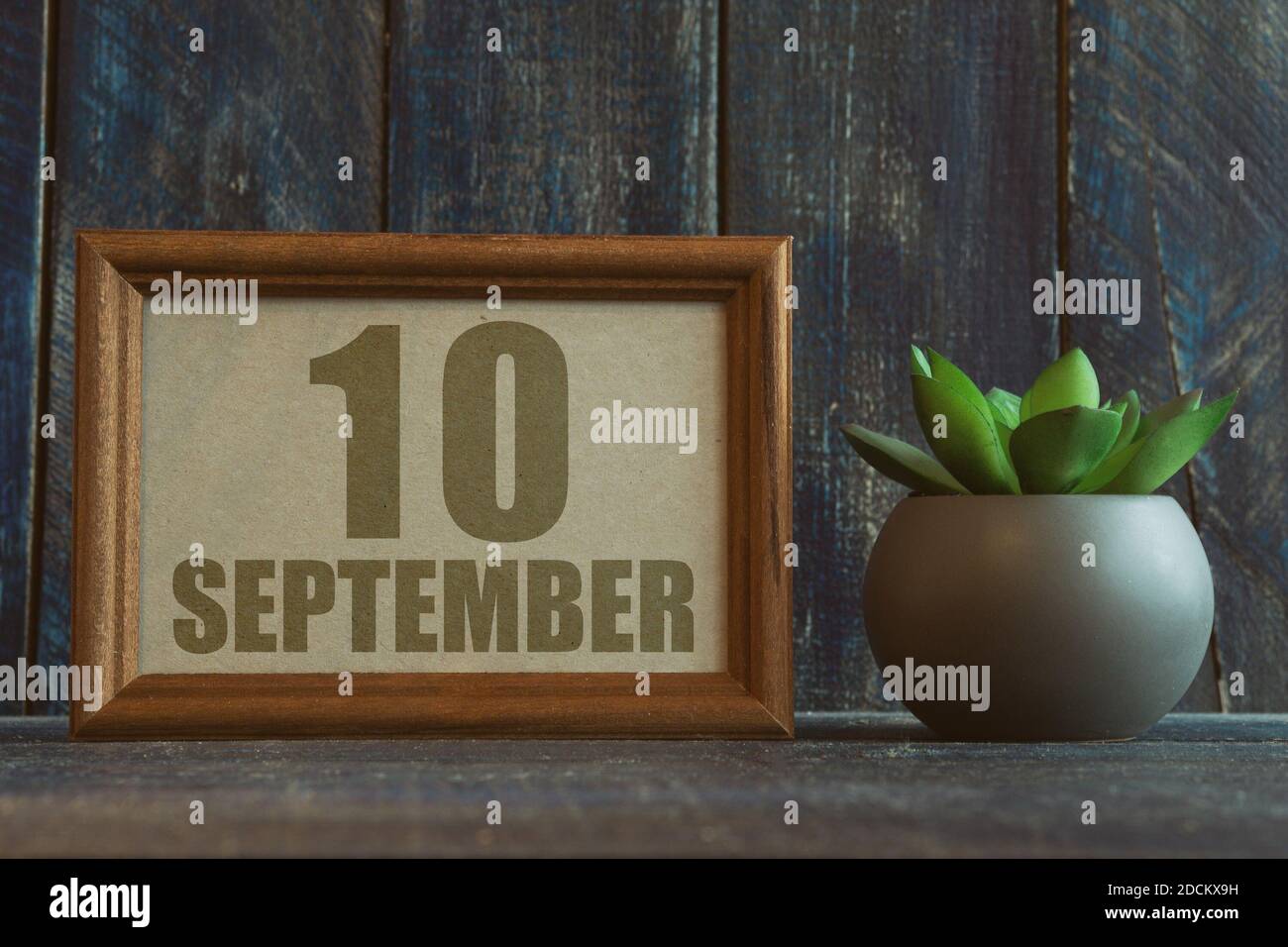 10 settembre. Giorno 10 del mese, data in cornice accanto a succulente su sfondo di legno mese di autunno, giorno del concetto anno Foto Stock