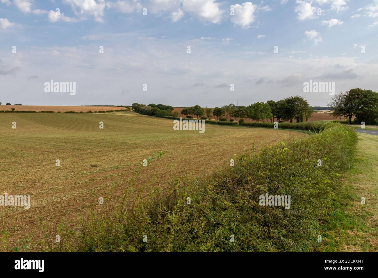 Il campo di battaglia della Guerra civile inglese della Battaglia di Winceby, ottobre 1643, vicino al villaggio di Winceby, Lincolnshire, Regno Unito. Foto Stock