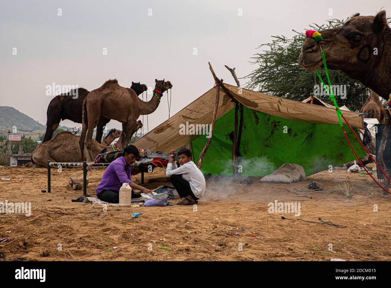 padre e figlio che fanno cibo nelle dune di sabbia del deserto del thar con fuoco selettivo sul soggetto e aggiunto rumore e grani. Foto Stock